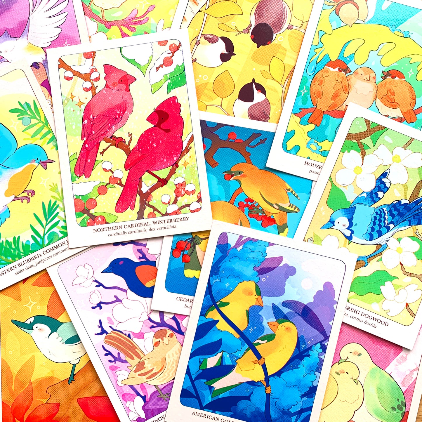 Backyard Birds of North America Postcard Print Set