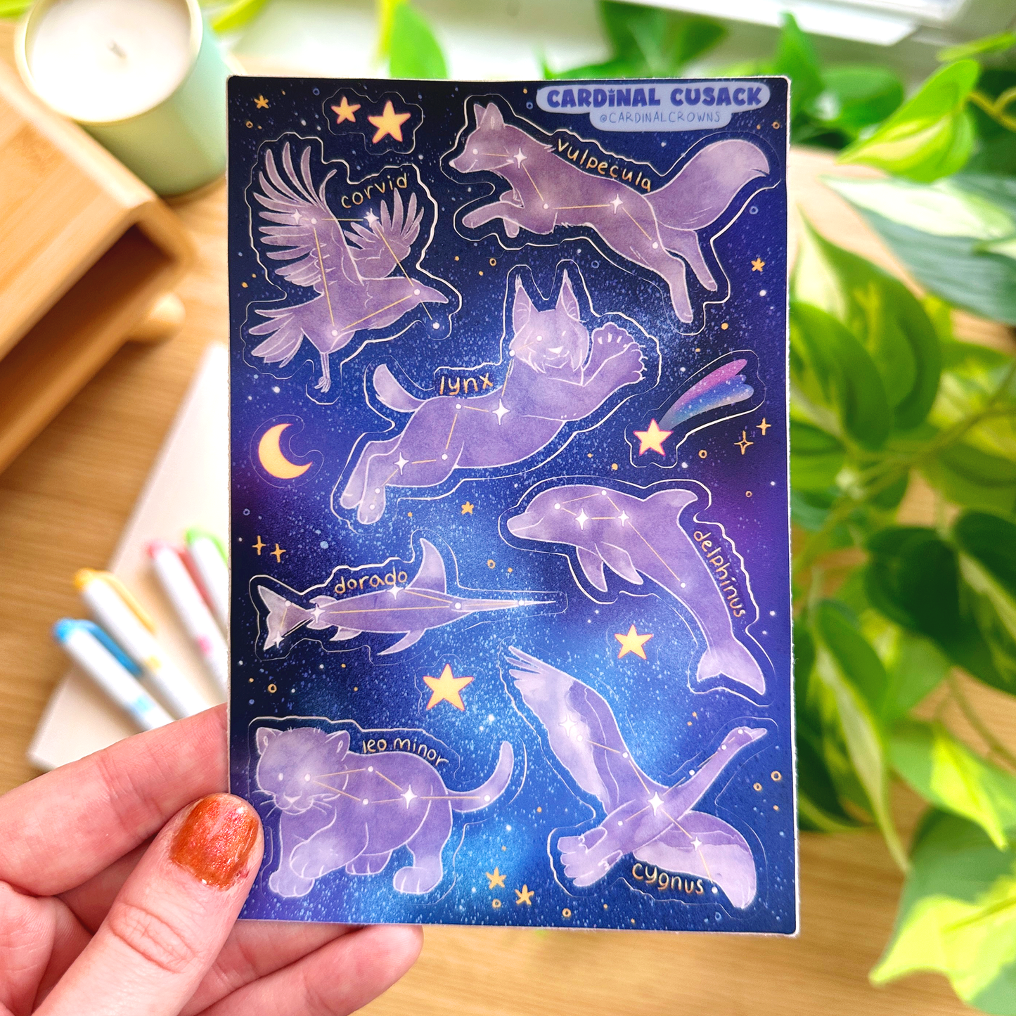 Constellations Sticker Sheet