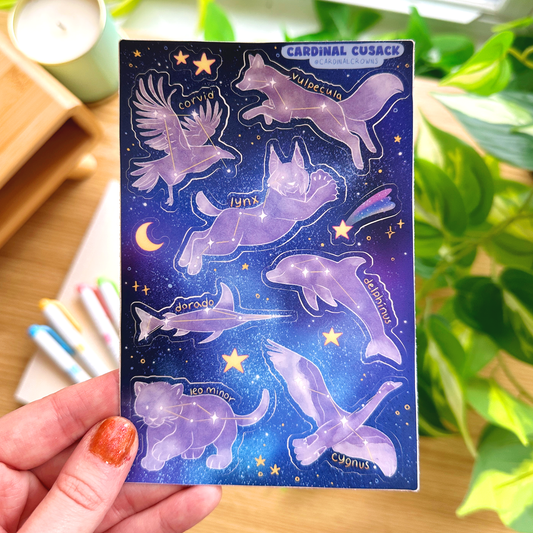 Constellations Sticker Sheet